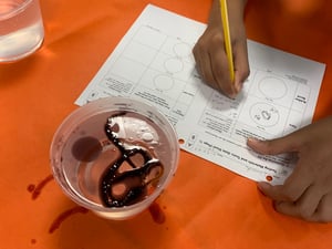 5th Grade Learns about Oil Spills